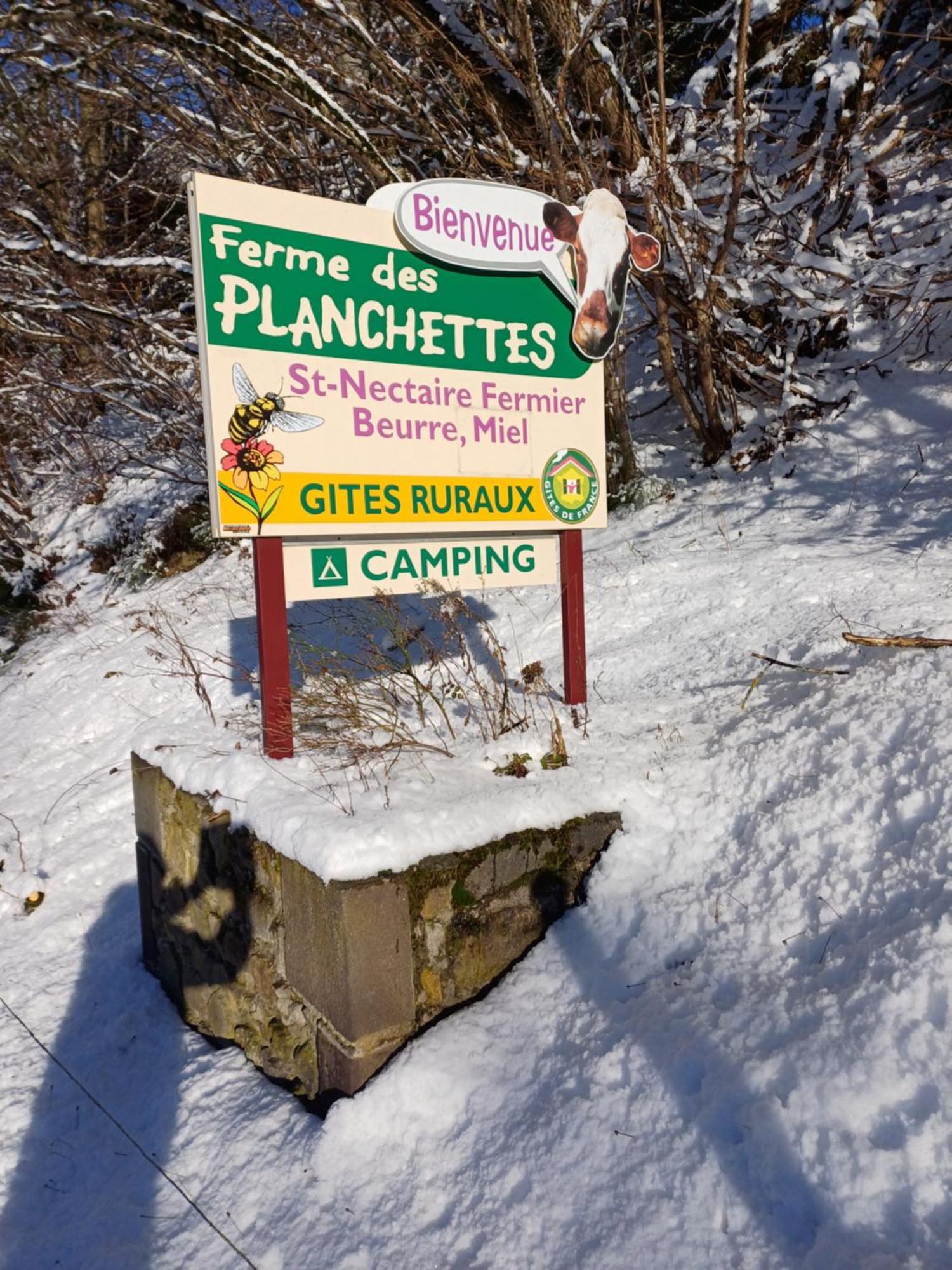 Villa Les Planchettes Orcival Esterno foto